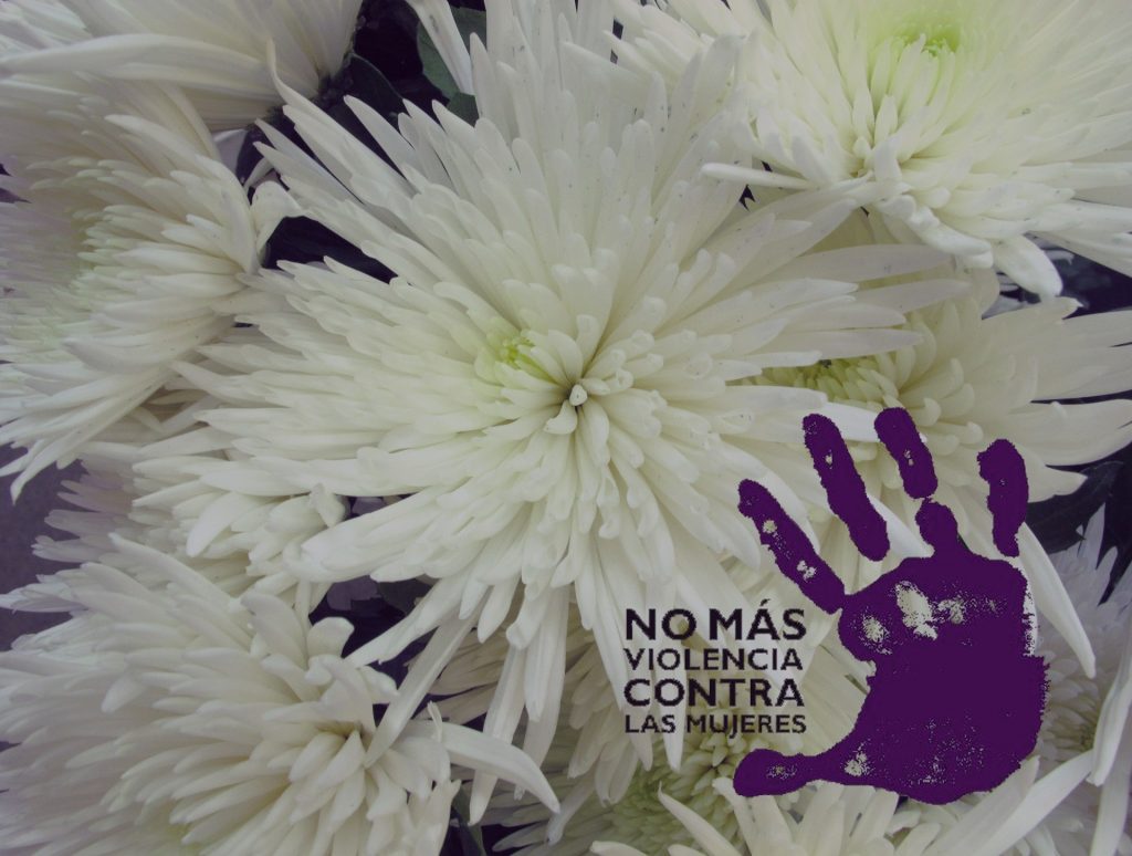 Quiénes se lucran con la Ley de Violencia de Género