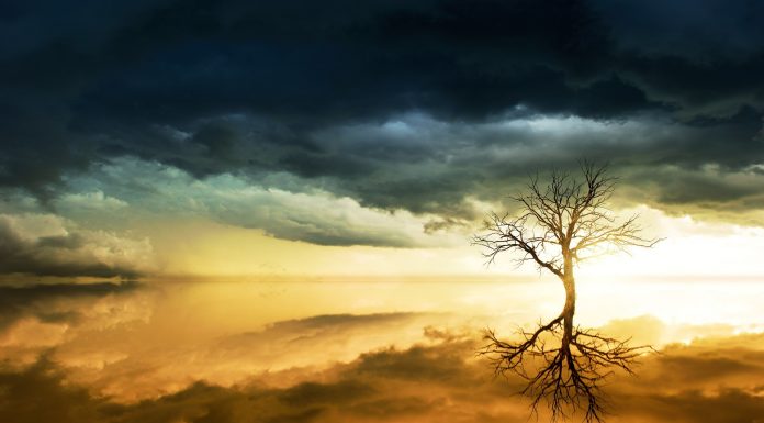 Suicidarnos por miedo a morir del cambio climático