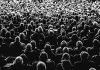 El colapso del consenso socialdemócrata