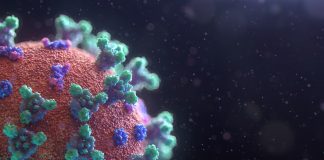 COVID-19: Mecanismos de infección y posibles tratamientos