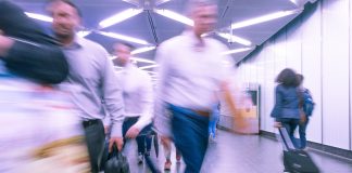 Los contenedores de la desinformación