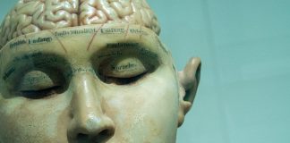 La manipulación de las mentes