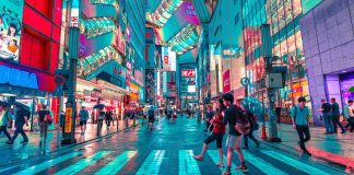 Internet: tercera y última degradación de la cultura
