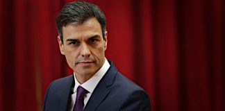 Frankenstein, propuesta electoral
