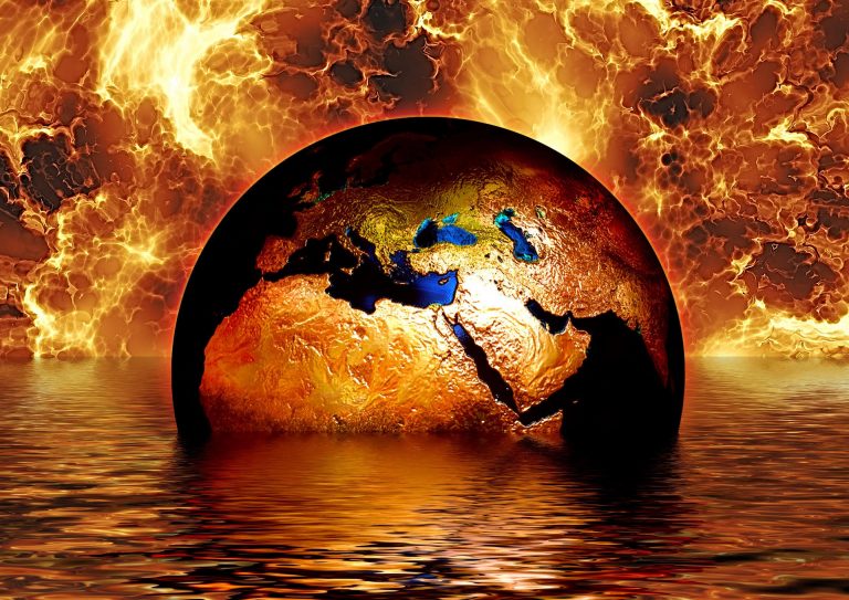 Así se destruyen entornos naturales... para salvar el clima