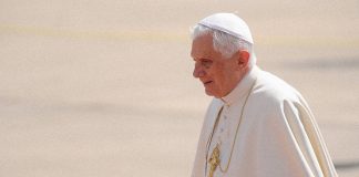 Benedicto XVI teólogo, Papa y ejemplo vivo