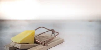 Las trampas de la amnistía