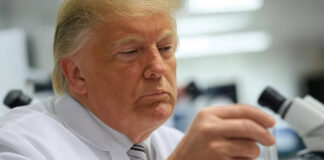 El experimento de Trump