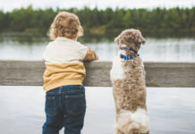 Bebé o perro (2)
